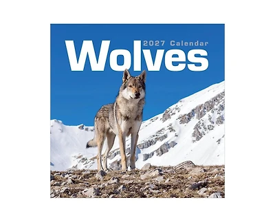 Tf Publishing Paper Goods 2027 Wolves Wall Calendar