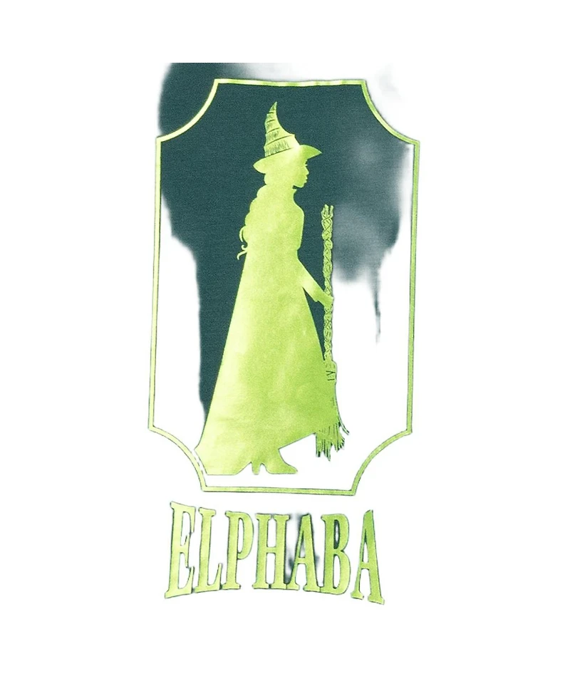 Wicked Girls' 4-16 Kids Elphaba Destined to Fly Nightgown Silhouette Long-Sleeve Raglan Soft Fleece Gown