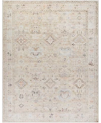 Becki Owens x Livabliss Marlene 9'11" x 14' Area Rug