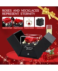 Lovery 5-Piece Preserved Rose with Led Lights, Double Heart Necklace and Acrylic Box Gift Set