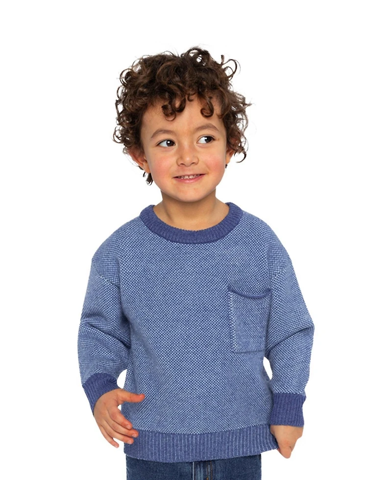 Deux par Toddler Boys (2T-5T) Knit Sweater