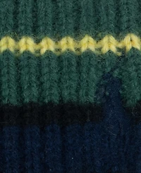 Polo Ralph Lauren Men's Tartan Stripe Beanie