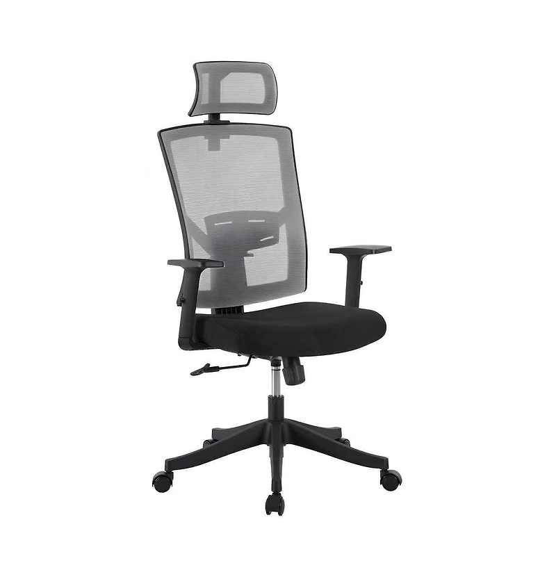 homfan Ergonomic High-Back Swivel Office Chair with Adjustable Lumbar, Headrest, Armrests, 300 lb Capacity