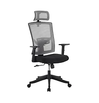 homfan Ergonomic High-Back Swivel Office Chair with Adjustable Lumbar, Headrest, Armrests, 300 lb Capacity