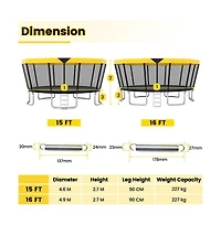 Ruie 16 ft Astm Compliant Recreational Trampoline with Safety Enclosure and Ladder