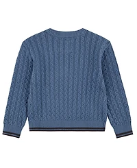 abercrombie kids Toddler Boys' 2T-5T Cableknit Crewneck Sweater
