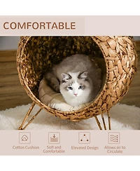 Ruie Elevated Woven Cat Bed Enclosed Kitten House Condo with Cushion
