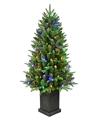 Puleo International 40" Pre-Lit Fraser Fir Potted Tree