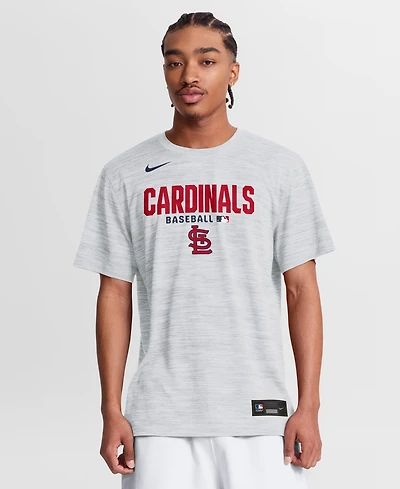 Nike Men's White St. Louis Cardinals Authentic Collection Velocity Dri-fit T-Shirt