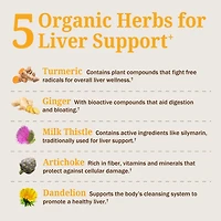 BioSchwartz Liver Support Supplement with Turmeric, Ginger, Milk Thistle, Artichoke and Dandelion, Citrus Flavor, 16 fl oz (3-Pack)