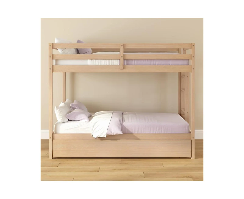 Grain & Grove Bear Plywood Twin/Twin with Trundle