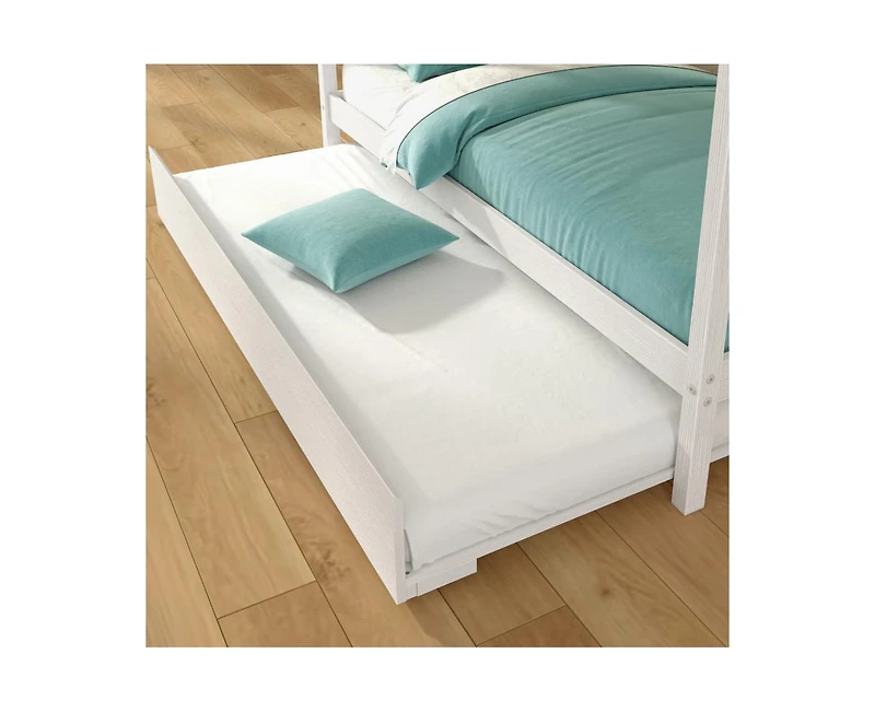 Grain & Grove Bear Plywood Twin/Twin with Trundle