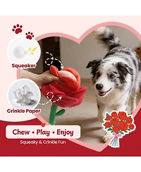 Nocciola Rose Blossom Dog Valentines Toy, Squeaky and Crinkle Rose with Tearable Petals, Hide and Seek Enrichment Toy for Dogs