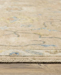 Oriental Weavers Palace 10310 2'x3' Area Rug