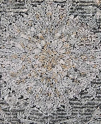 Feizy Sarrant 3965F 2'8"x8' Runner Area Rug