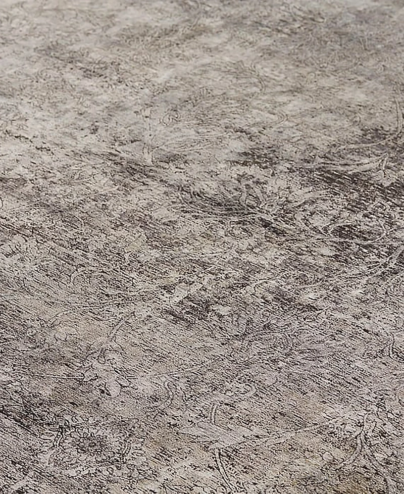 Feizy Sarrant R3964 Brown 4' x 5'3" Area Rug