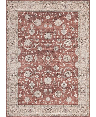 Mink Home Homewell Machine Washable HAM4008 9'10"x13'11" Area Rug