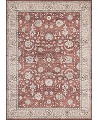 Mink Home Homewell Machine Washable HAM4008 9'10"x13'11" Area Rug