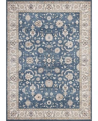 Mink Home Homewell Machine Washable HAM4007 4'11"x6'11" Area Rug