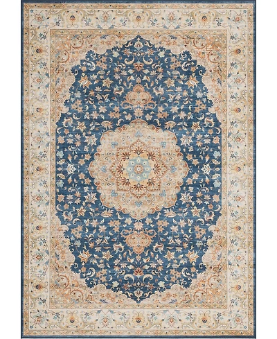 Mink Home Homewell Machine Washable HAM4003 7'10"x9'10" Area Rug