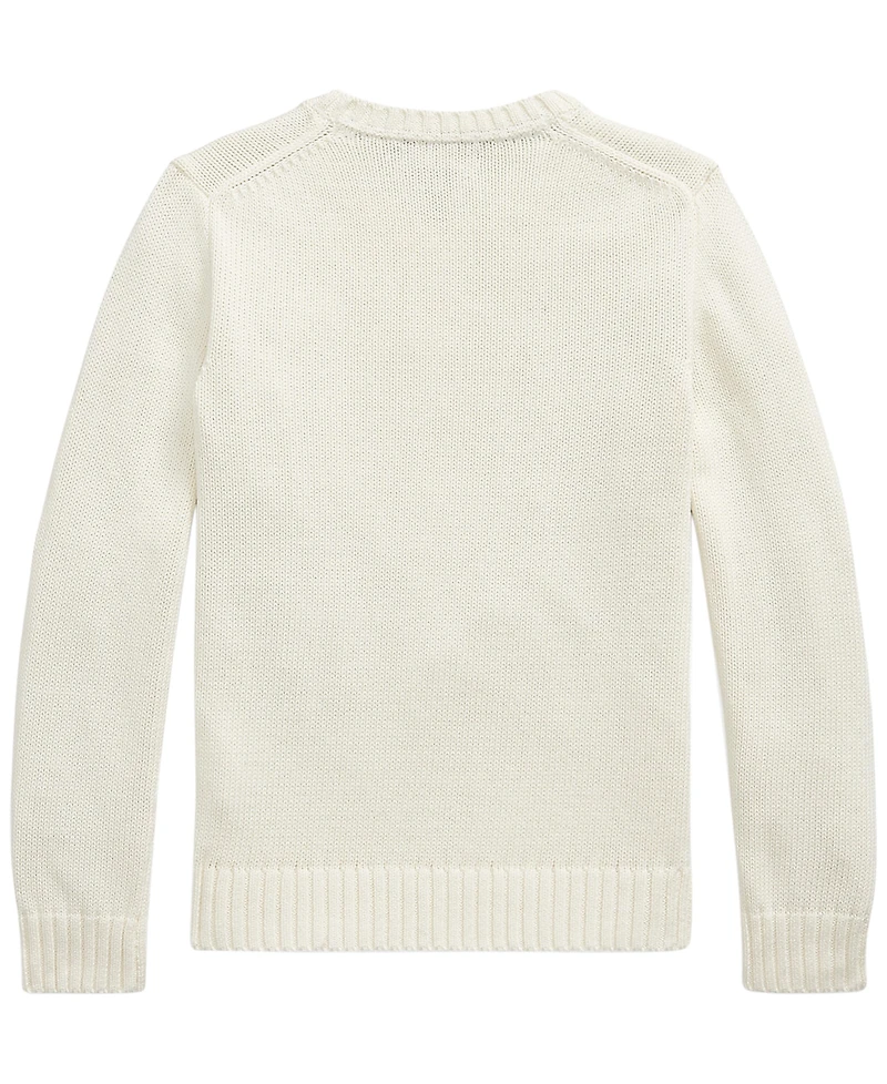 Polo Ralph Lauren Boys' 8-20 Cotton Crewneck Sweater