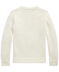 Polo Ralph Lauren Boys' 8-20 Cotton Crewneck Sweater