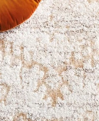 Safavieh Ravine Shag Rve350 Area Rug Collection
