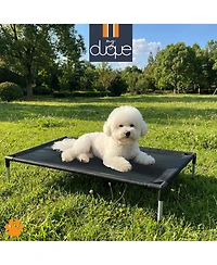 My Duque: Coola Bed