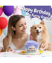 Nocciola Birthday Cake Squeaky Dog Toy, Lilac Plush Cake with Crinkle Paper, Soft Fabric for Cuddles, Perfect Birthday Gift for Dogs