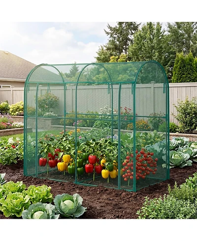 79 x 39 71/106 47 in. Half-Round Crop Cage with Anti-Insect Mesh Netting, Plant Support for Garden Vegetable Bed Greenhouse, Green
