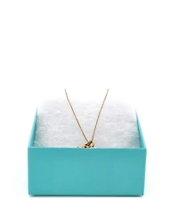 Pre-Owned Tiffany & Co Tiffany and Heart and Anchor Pendant Necklace