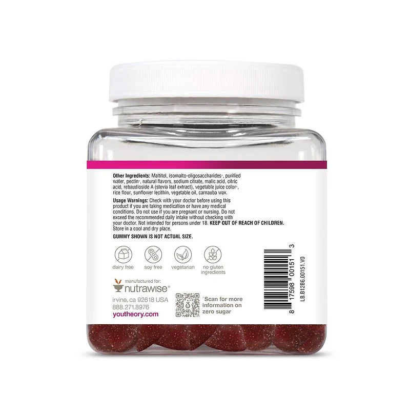 Youtheory B12B6 Zero Sugar Gummy 90 Count