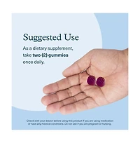 Youtheory Ashwagandha Gummies Ksm 66 Stress Relief and Energy Support Helps Support Mood Sugar Free Blueberry 60 Gummies