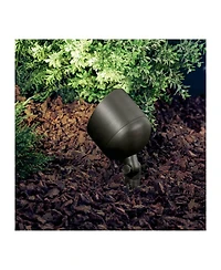 Kichler Rose 5 3/4" High Centennial Brass Outdoor Spot Light