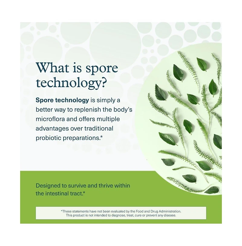 Youtheory Spore Probiotic Helps Gut Health 6 Billion Cfu with Prebiotics Shelf Stable 60 Vegetarian Capsules 30 Day Supply