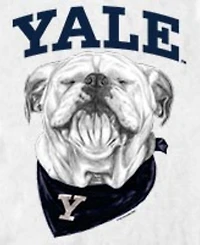 Fifth Sun Men's Yale Happy Crewneck T-Shirt
