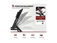 Boyel Living Patio Sunbathing Lounge Chair 5-Position Adjustable Tanning Chair