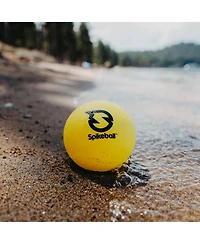 Spikeball Standard Balls - 2 pack