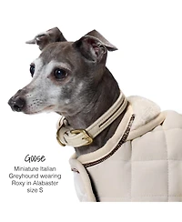 Pet Passion Roxy Crystal Bling Collar