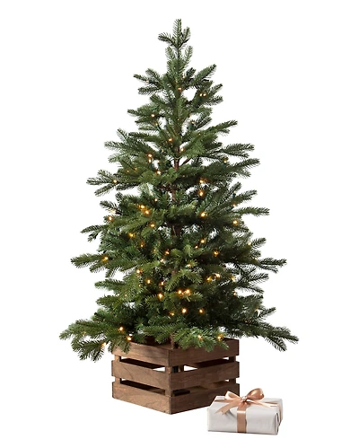 Balsam Hill 4 ft Country Farm Pre-Lit Fir Tree