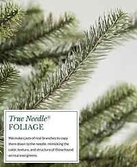 Balsam Hill Sanibel Spruce 8' Tree