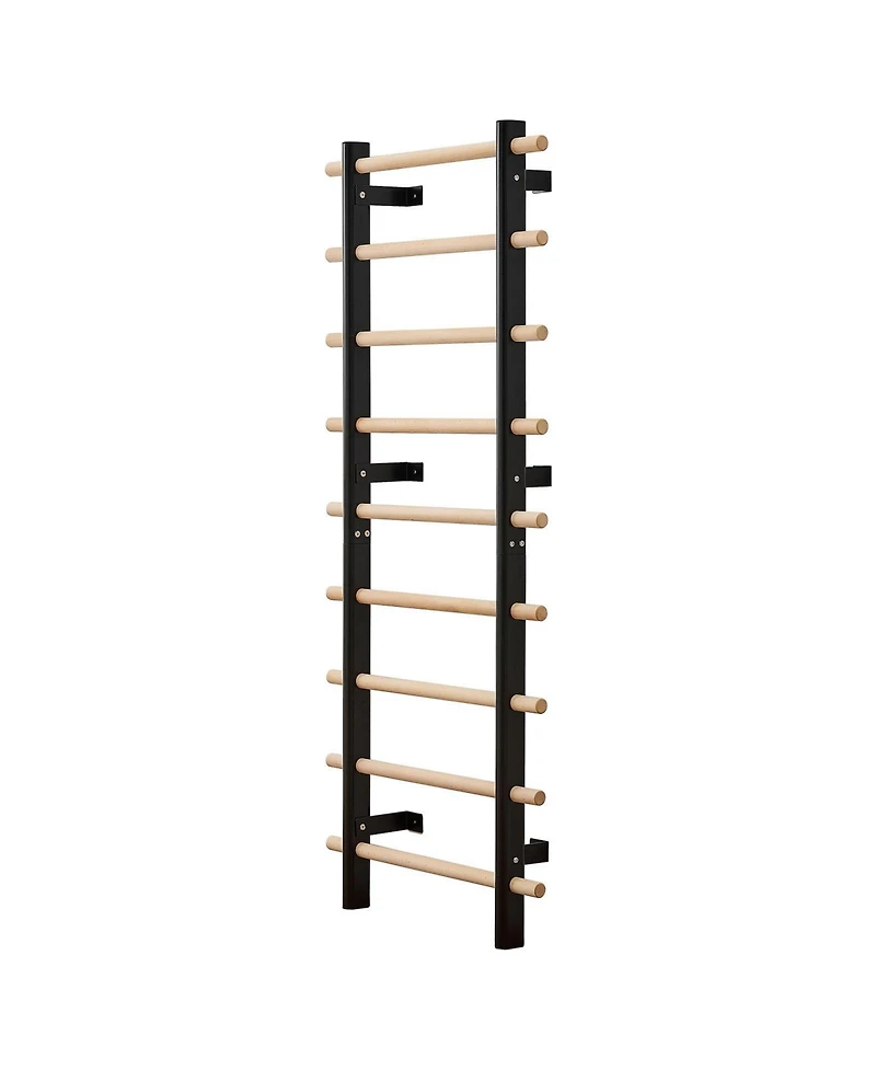 Slickblue 9 Level Swedish Ladder Wall Gym with Suspension Trainer