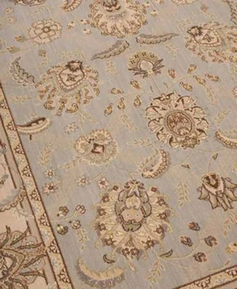 Nourison Home Persian Empire Pe22 Aqua Rug