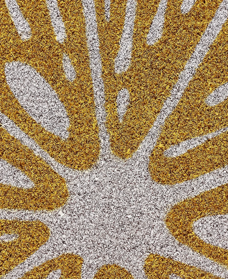 Vcny Home Lemon Half Circle Outdoor Coir Doormat, 18" x 30"