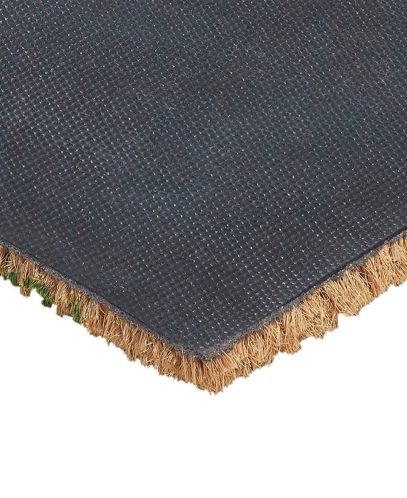 Vcny Home Fancy Doors Outdoor Coir Doormat, 18" x 30"