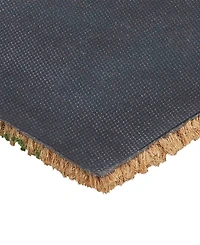 Vcny Home Fancy Doors Outdoor Coir Doormat, 18" x 30"