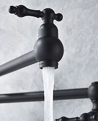 Thirtypeachy Wall Mount Pot Filler Faucet, Folding Swivel Arm with Dual Handles and Brass Construction