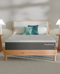 Molecule Reflex 11" Firm Memory Foam Tight Top Mattress in a Box