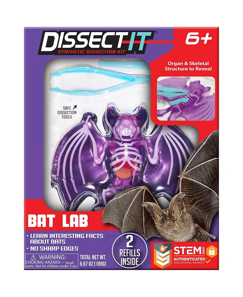 Dissect-It Bat Lab Realistic Dissection Kit, Ages 6+