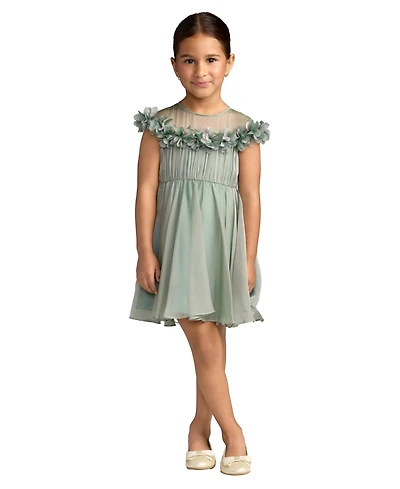 Mac Duggal Big Girls Floral Applique Chiffon A-Line Dress